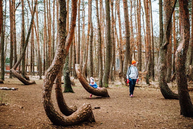 Najlepsze atrakcje w Gryfino, które musisz zobaczyć podczas wizyty