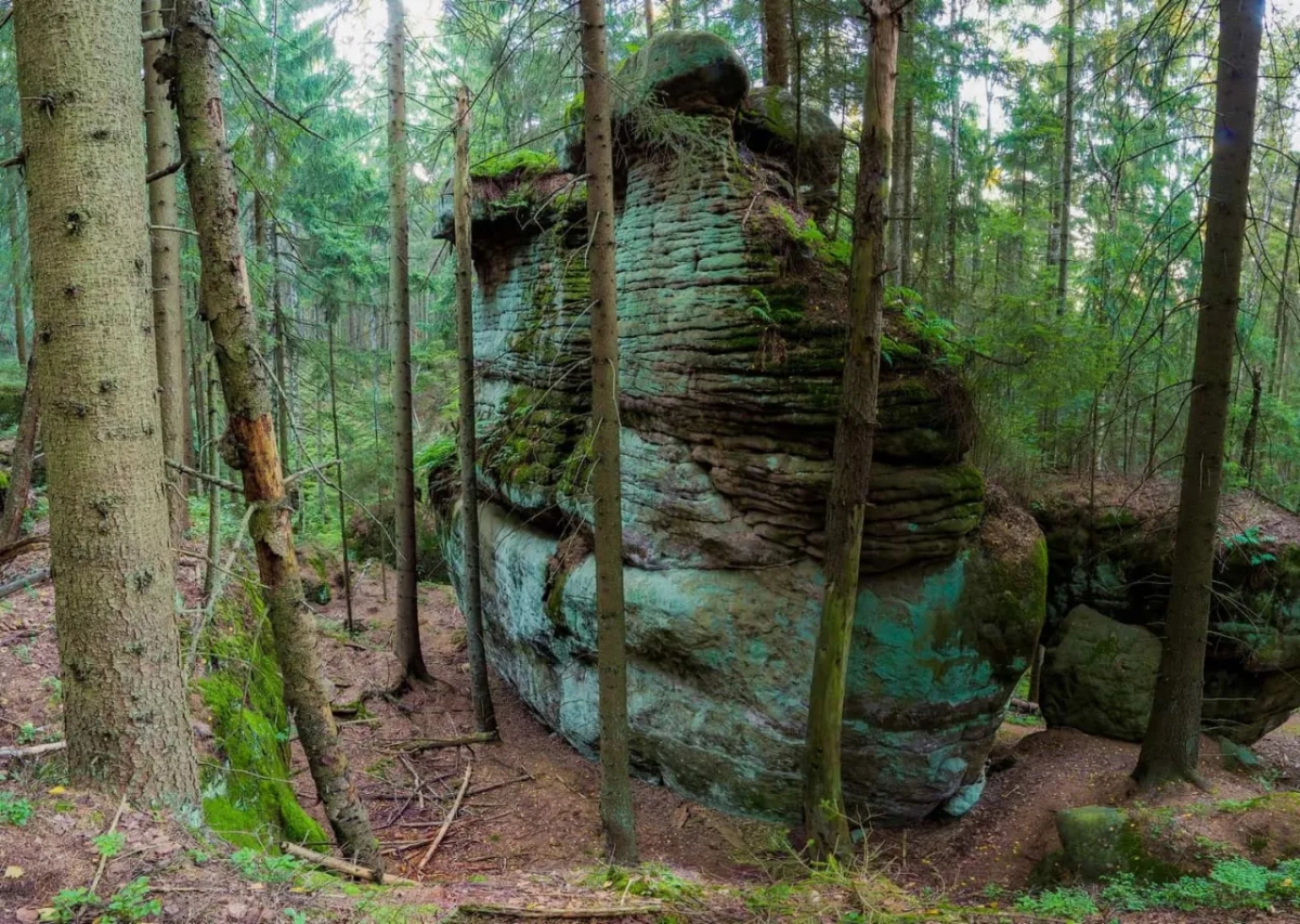 Najlepsze atrakcje w Radkowie, które musisz zobaczyć na weekend